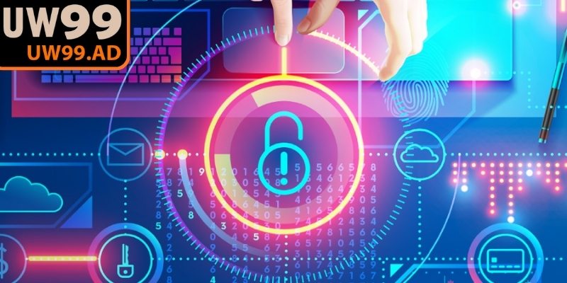 Những thông tin quan trọng được nhà cái thu thập