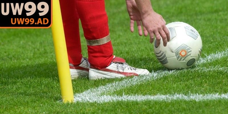 Khi dự đoán chính xác người chơi có thể nhận được lợi nhuận lớn